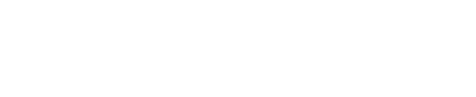 NETZIN TECHNOLOGY